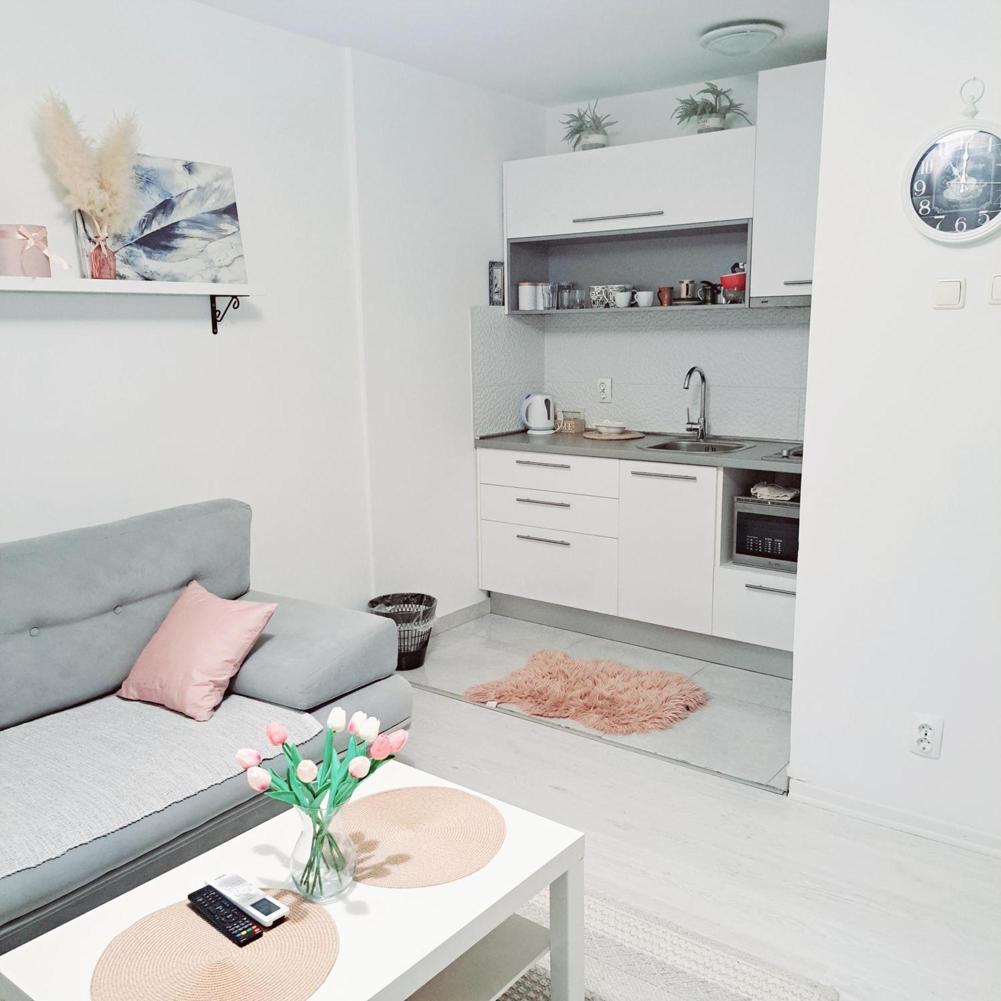 מוסטר Apartman Simple מראה חיצוני תמונה